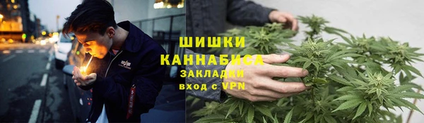 ГАЛЛЮЦИНОГЕННЫЕ ГРИБЫ Балабаново