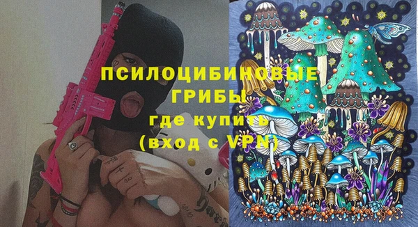 ГАЛЛЮЦИНОГЕННЫЕ ГРИБЫ Балабаново