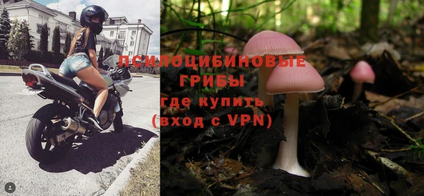 ГАЛЛЮЦИНОГЕННЫЕ ГРИБЫ Балабаново